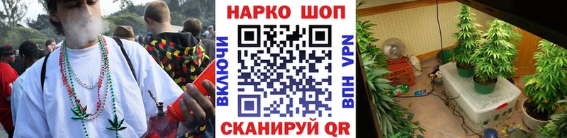 Наркотические вещества Кстово Alpha PVP ГАШИШ