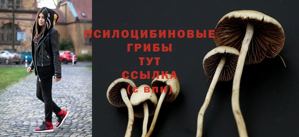 ECSTASY Балахна