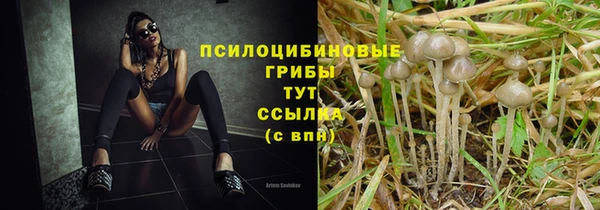 хмурый Баксан