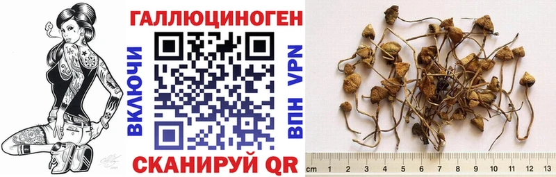 ссылка на мегу рабочий сайт  Кстово  Галлюциногенные грибы Magic Shrooms 
