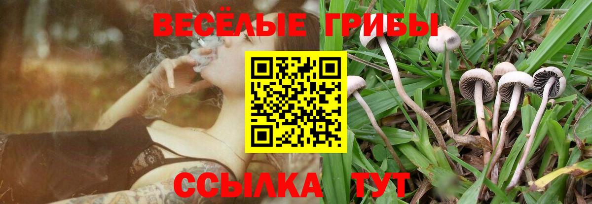 Псилоцибиновые грибы ЛСД Кстово