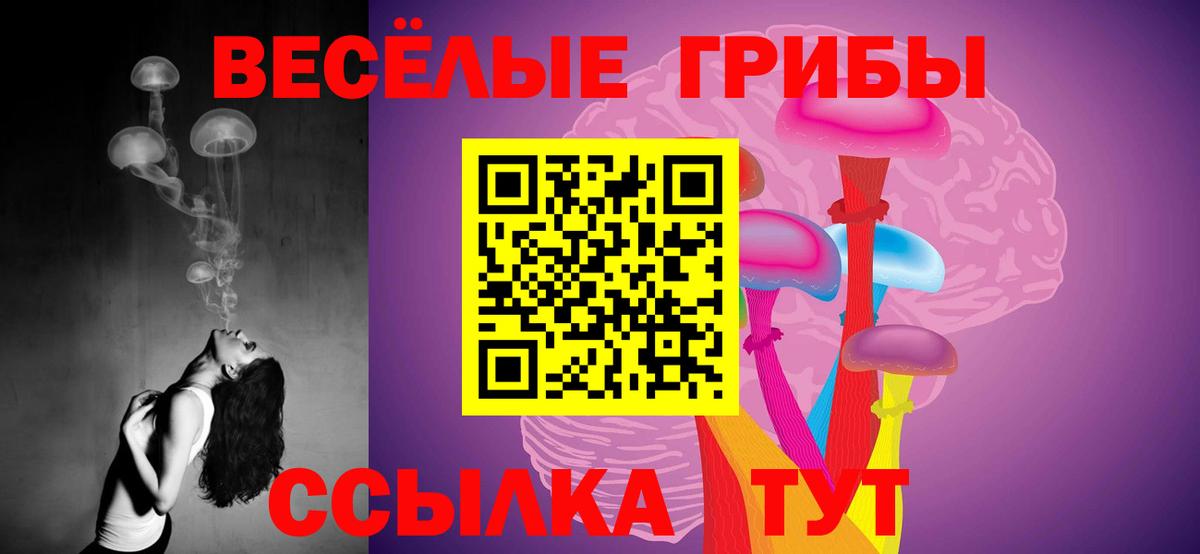 Псилоцибиновые грибы GOLDEN TEACHER  Вход с VPN  Кстово 